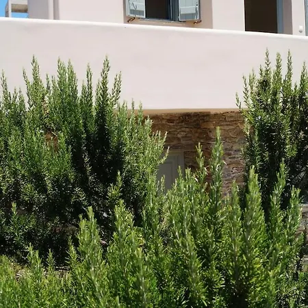 M. 5 Agios Romanos